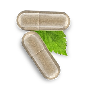Viagra Natural